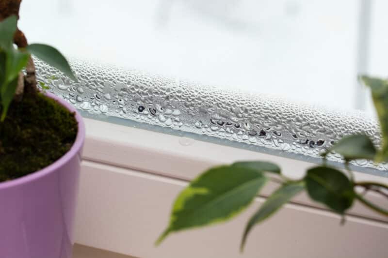window with a leak in it that is letting air and water in
